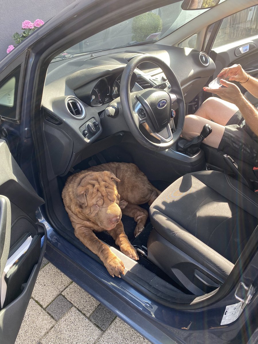 Chris Moiny aka MacFish tweet media