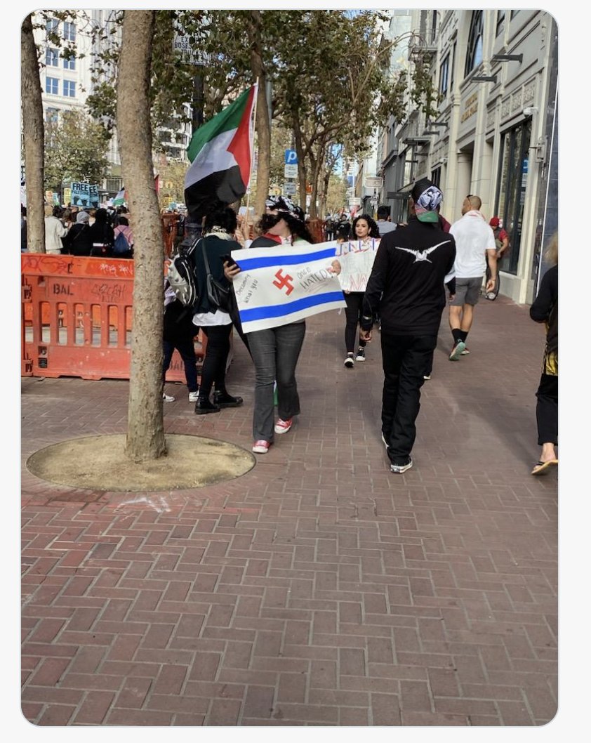 masterlongevity. tweet media