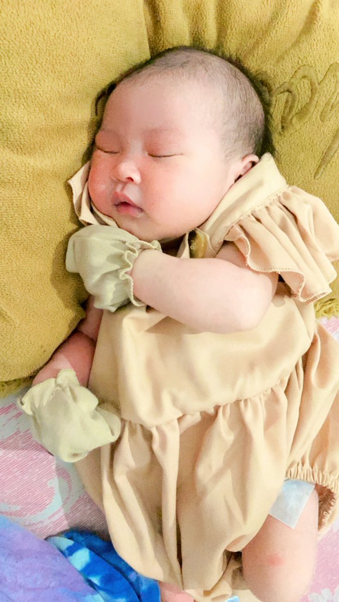 Nindyanadraaaa's tweet photo. Cantiqnya aku ...
Hari ini bener2 kaya naik histeria/tornado ...
Perasaan ku habis melambung tinggi di jatuhkan perkara liat anak ini di tindik sama sunat ...
Lemes sekali liat darahnya gaaa kuatt 😭 https://t.co/U9O8zReg7a