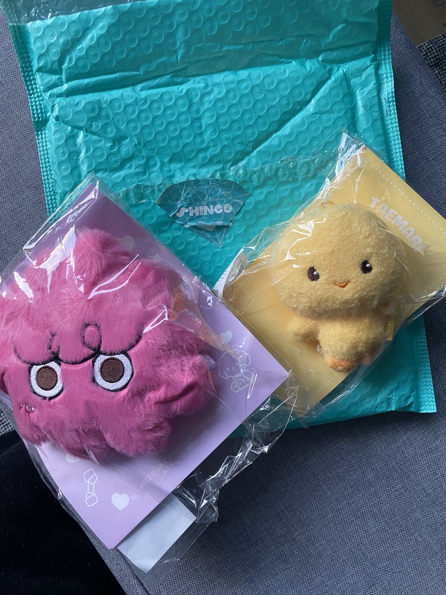 im____susi's tweet photo. @shinee_jpnkr my Moment of Shine merch came! 🩵😱 I’m so happy, everything with their GO was perfect 😍 thank you again!! My dog was also very interested 😂 #shinee #shineego #shinee_jpnkr https://t.co/yDQ5hedJUs