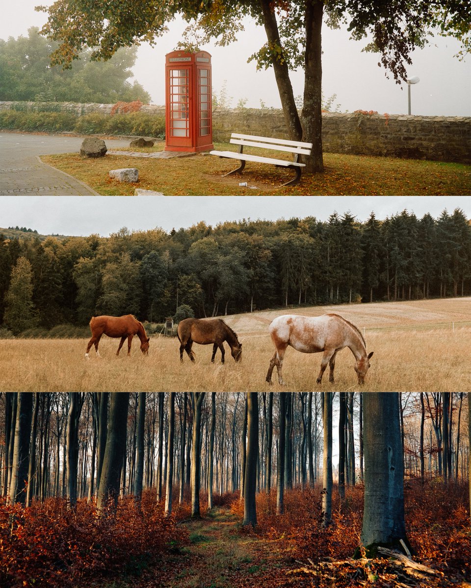 Raoul Pascal tweet media