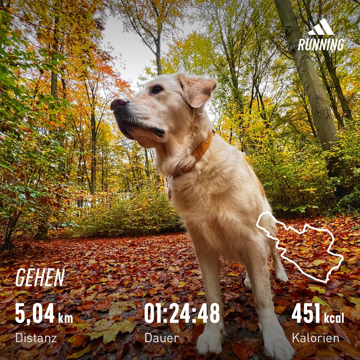 Watch out Walk. 👀