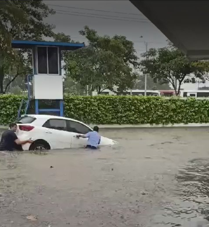 Para que los arroyos sigan vivos, fué que los quilleros, eligieron 4 años más al papi char. Viva la ignorancia.
