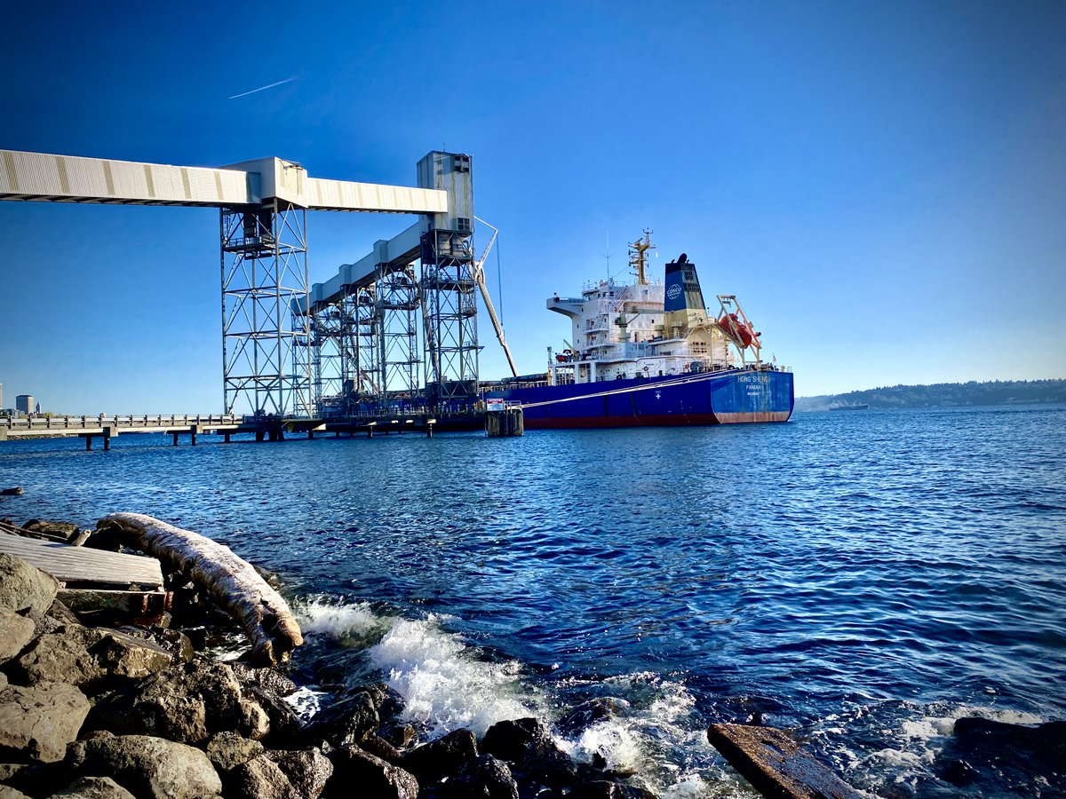 grounds_running's tweet image. One of my favorite places to run in Seattle, Myrtle Edwards Park. IYKYK. Have you ran this before?

#seattłe #running #explore