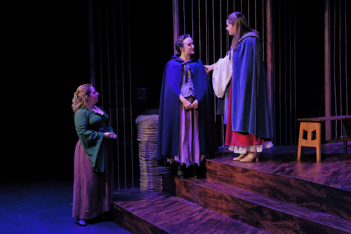 This afternoon’s #matinee is your last chance to catch #TheBookofWill @HubTheatreBos this week, but fear not! We will be back on Thursday for one more week of #performances!

Photo by @TimGurczak 

#actorslife #bostontheatre #shakespeare #womenshistory #livetheatre #costumedrama