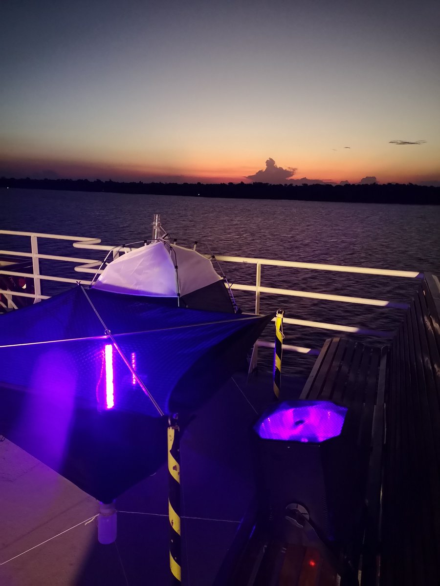 GerardTalavera's tweet image. Fishing the sky! Back from a thrilling 3-week journey aboard #NationalGeographicExplorer in #SouthAmerica studying insects dispersing over the sea and the #AmazonRiver

@LindbladExp @NatGeo @InsideNatGeo @IBB_botanic @CSIC  #InsectMigration #Biodiversity #Research