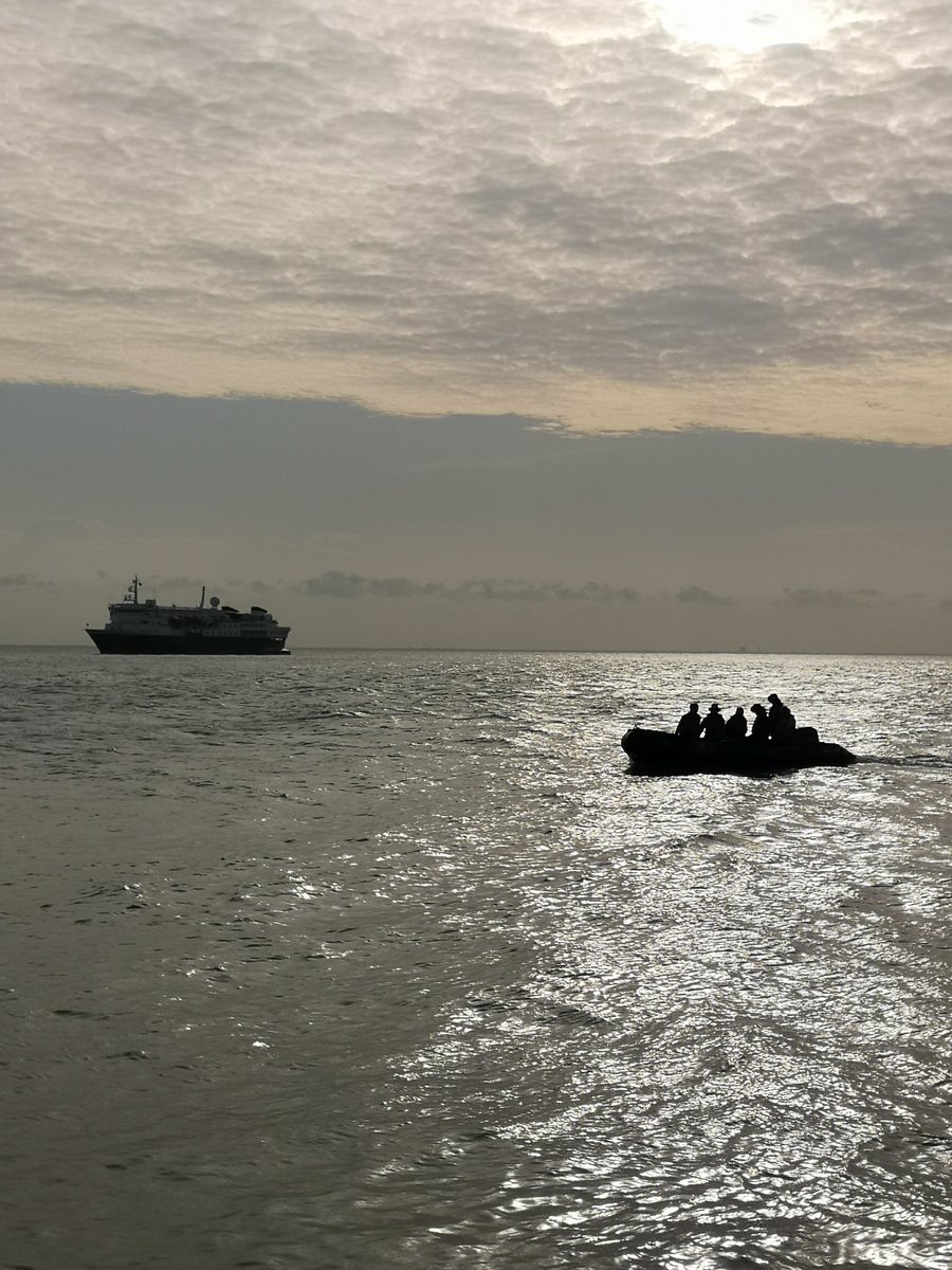 GerardTalavera's tweet image. Fishing the sky! Back from a thrilling 3-week journey aboard #NationalGeographicExplorer in #SouthAmerica studying insects dispersing over the sea and the #AmazonRiver

@LindbladExp @NatGeo @InsideNatGeo @IBB_botanic @CSIC  #InsectMigration #Biodiversity #Research