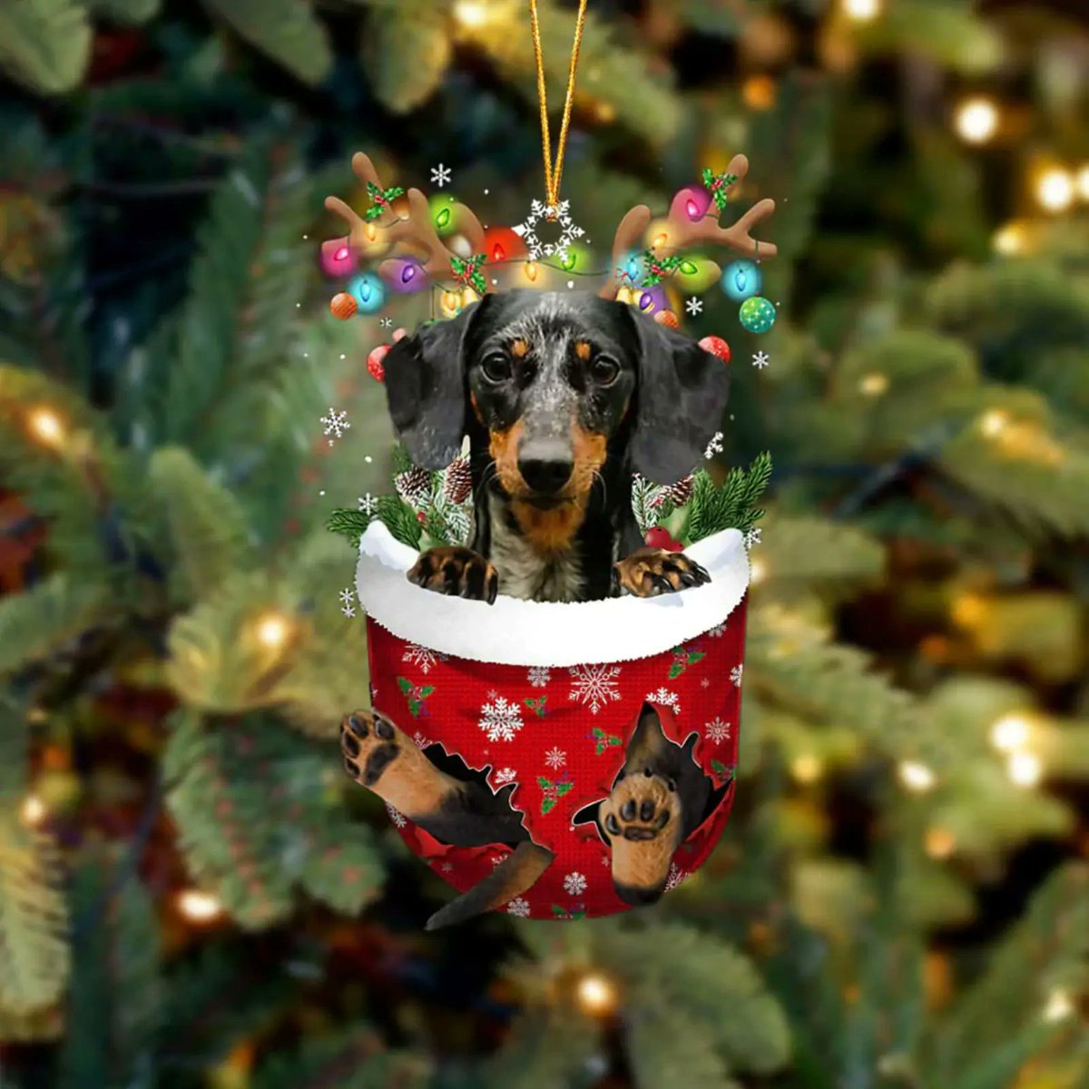 Yesterday I got my Dachshund Christmas ornament ❤️Afterwards I posted it on my timeline. But no one responded. I expect people will like my Christmas ornament on this page.
👇order Now👇
onpointgift.com/products/dachs…
#dachshund #SundayMotivation #christmas #christmasornament