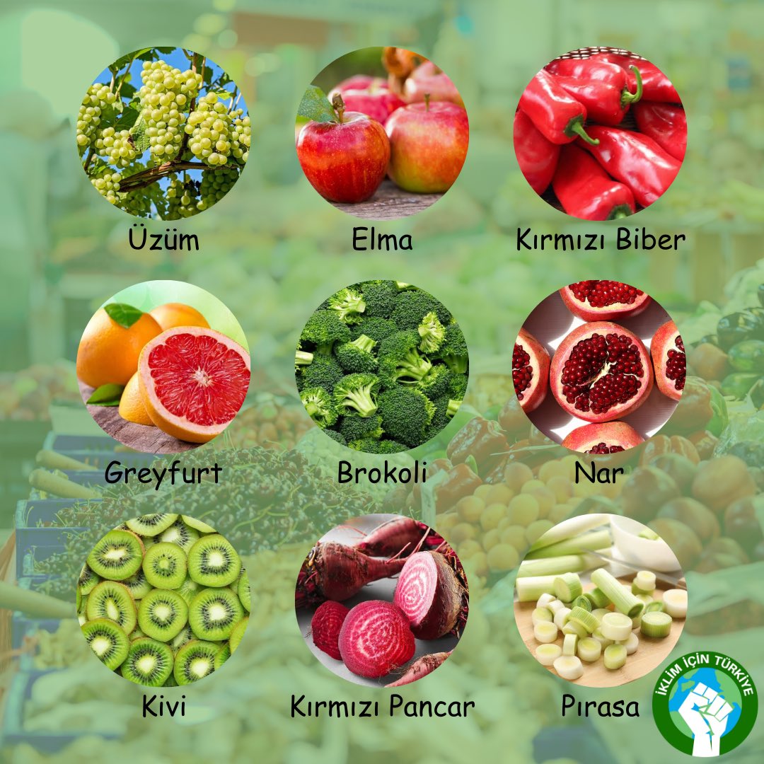 IklimTurkiye's tweet photo. Sizler için Kasım ayının meyve ve sebzelerini listeledik, göz atmayı unutmayın! 🌱❤️ https://t.co/Kye7PyJJaP