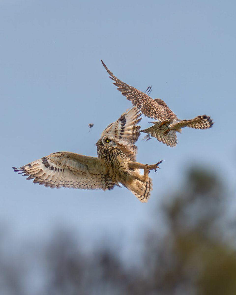 Paul Browning Photography tweet media
