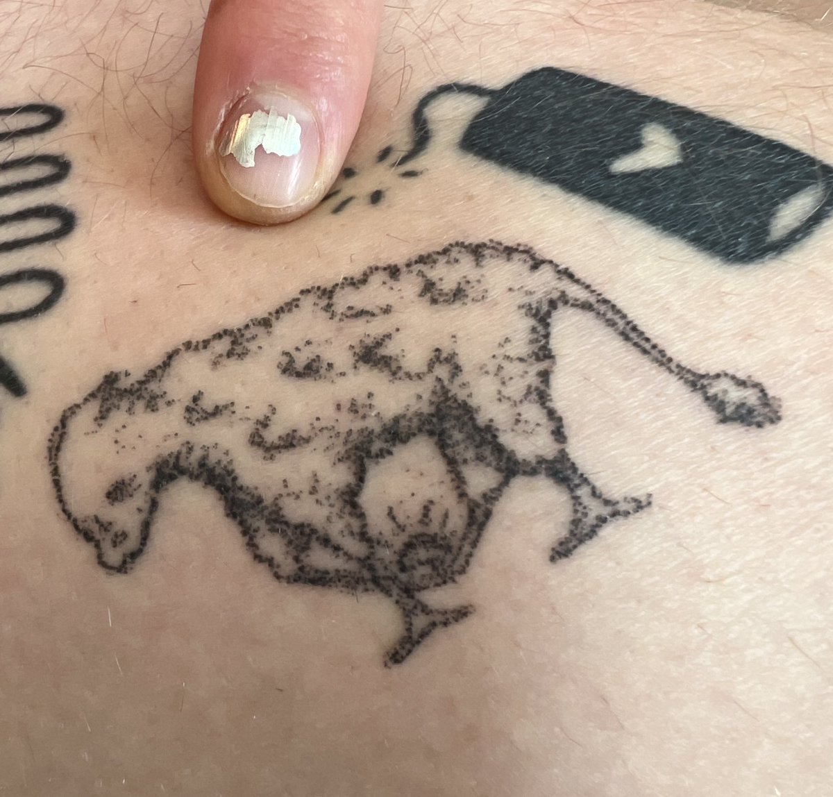 got a stick n poke of a weird lamb cradling magic egg and my new song “(on the highway)” feat. @TrellaTunes releases this thursday 🍂 presave.rividia.com/moony