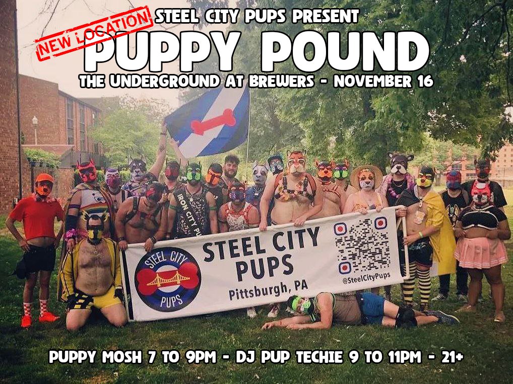 Steel City Pups tweet media