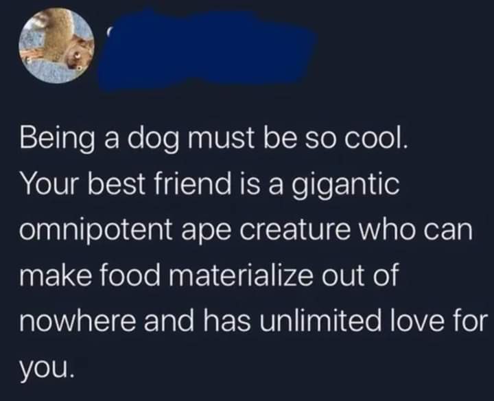 non aesthetic things (@picturesfoider) on Twitter photo 