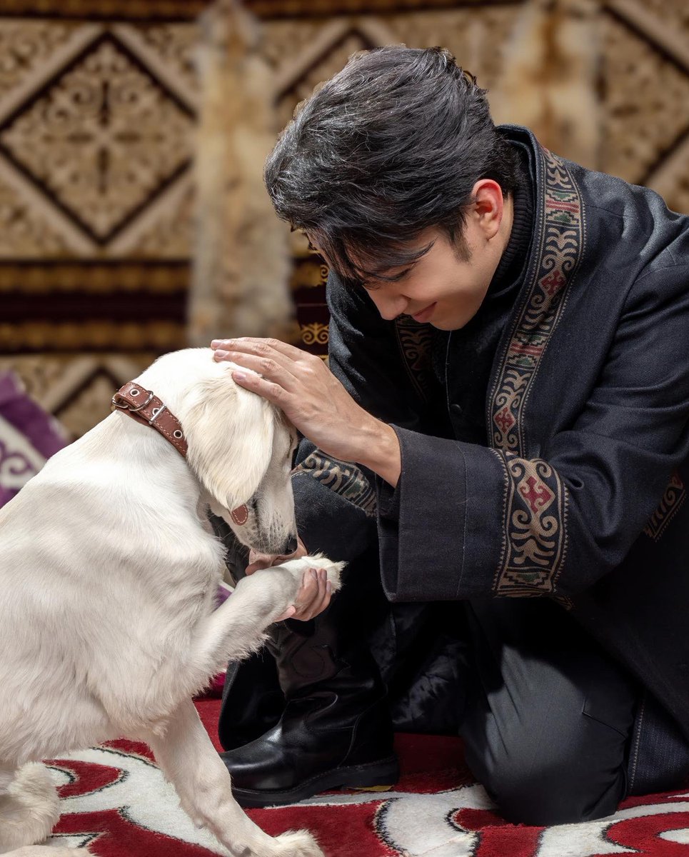 Dimash Qudaibergen tweet media