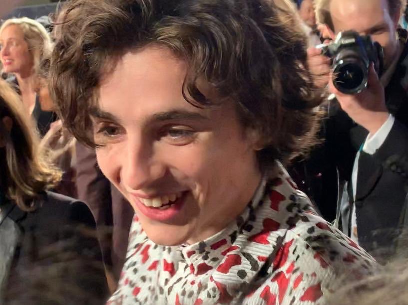 Timothée Chalamet pics (@DailyTimothee) / X