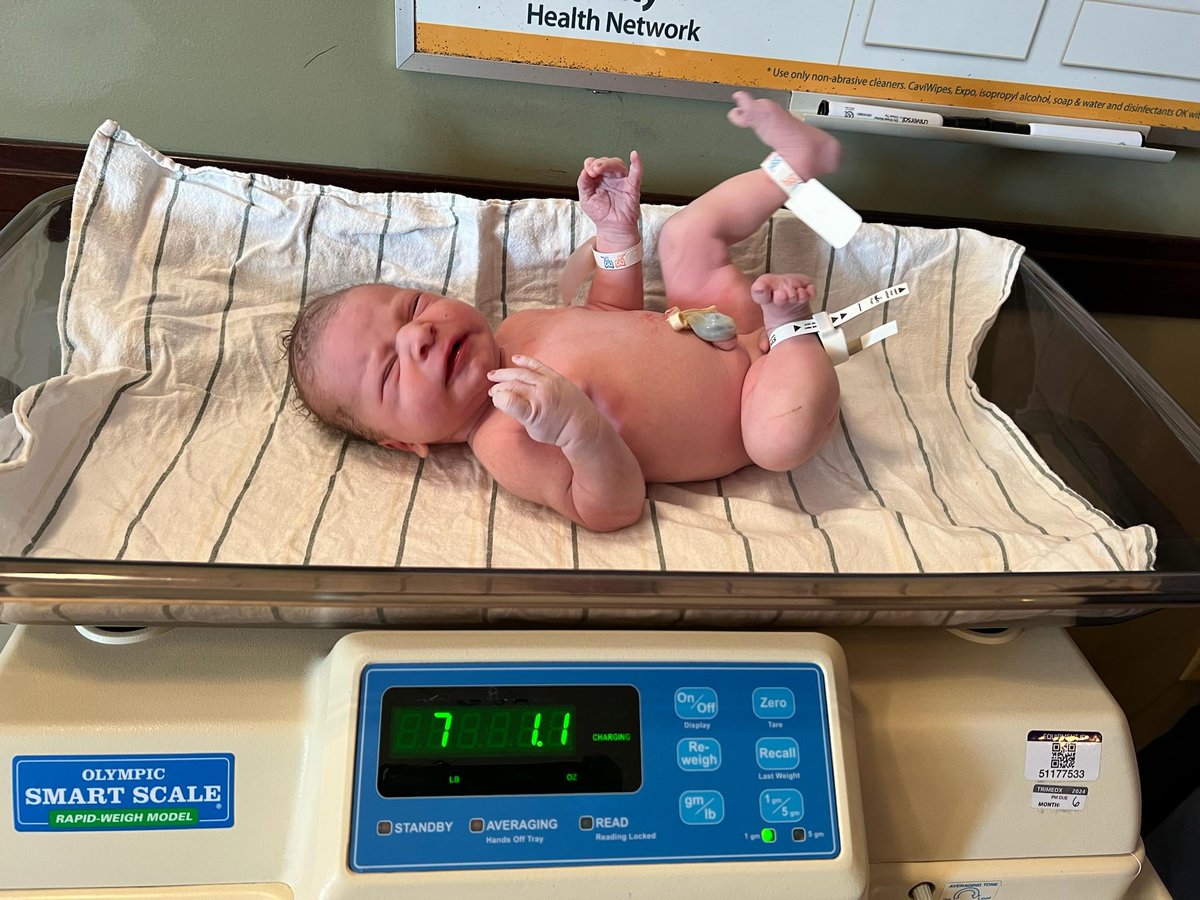 fisherssoftball's tweet photo. @kylee_jamess Hello Grayson. Our newest to the Tiger family. https://t.co/qelMnmJXMe