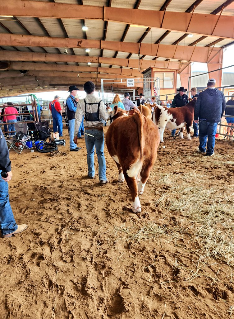 Mayde Creek FFA tweet media
