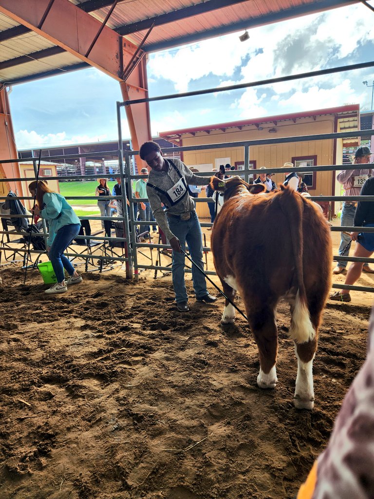 Mayde Creek FFA tweet media