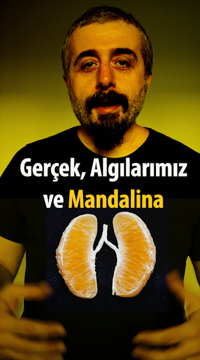 0rtapia's tweet photo. Söz konusu yetiştiğimiz ortam ve koşullar olduğunda mandalina her zaman bildiğiniz mandalina olmayabilir.
https://t.co/WMmwSK98YT https://t.co/hjSMHfbeev