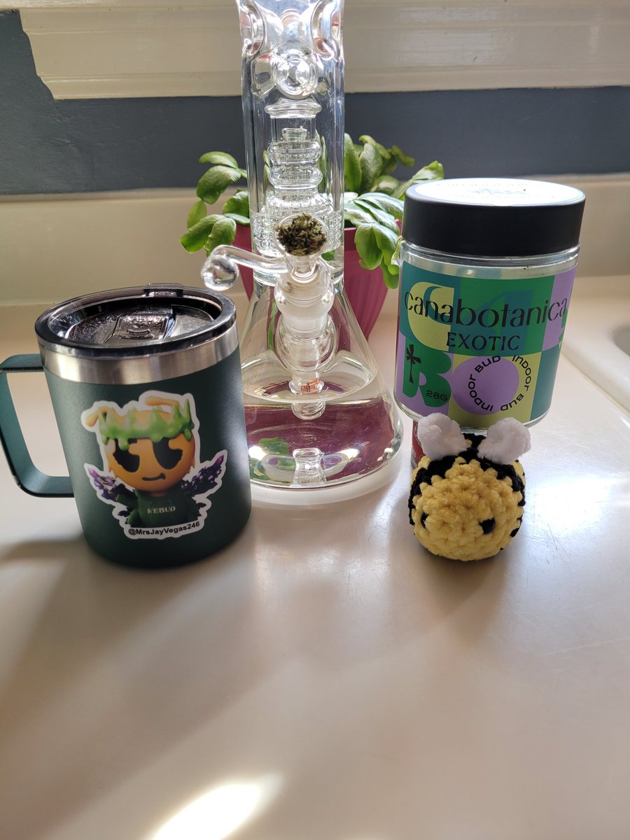 MrsJayVegas246's tweet photo. ✨️🎶 The best part of waking up

is putting @RebudOfficial 😮‍💨🔥⛽️

in your bong🎶✨️

From all of our bongs✨️pipes✨️joints

✨️blunts✨️vapes✨️Dabs to yours

✨️Cheers and Good Vibes 💚😮‍💨🔥✨️

#firstClassFunk #StonerFam
#rebudBeethaBest https://t.co/CbqaP1iJ3v