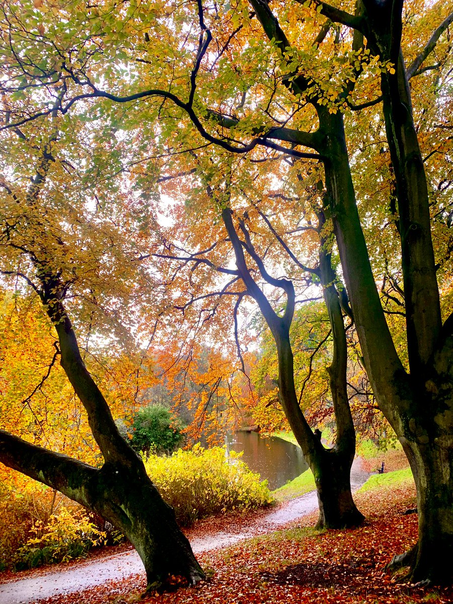 The Friends of Sefton Park tweet media