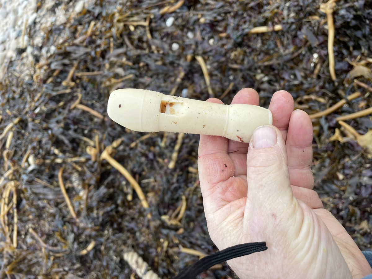 Nice bright start to the day at #marsdenbay the sea has settled but still lots of debris on the #beach took 28.58kg away #ghostgear it looked like the cod end of a net #buoy #plasticpollution & the obligatory #dog 💩strange find the mouth piece of a recorder it still plays #LWYL