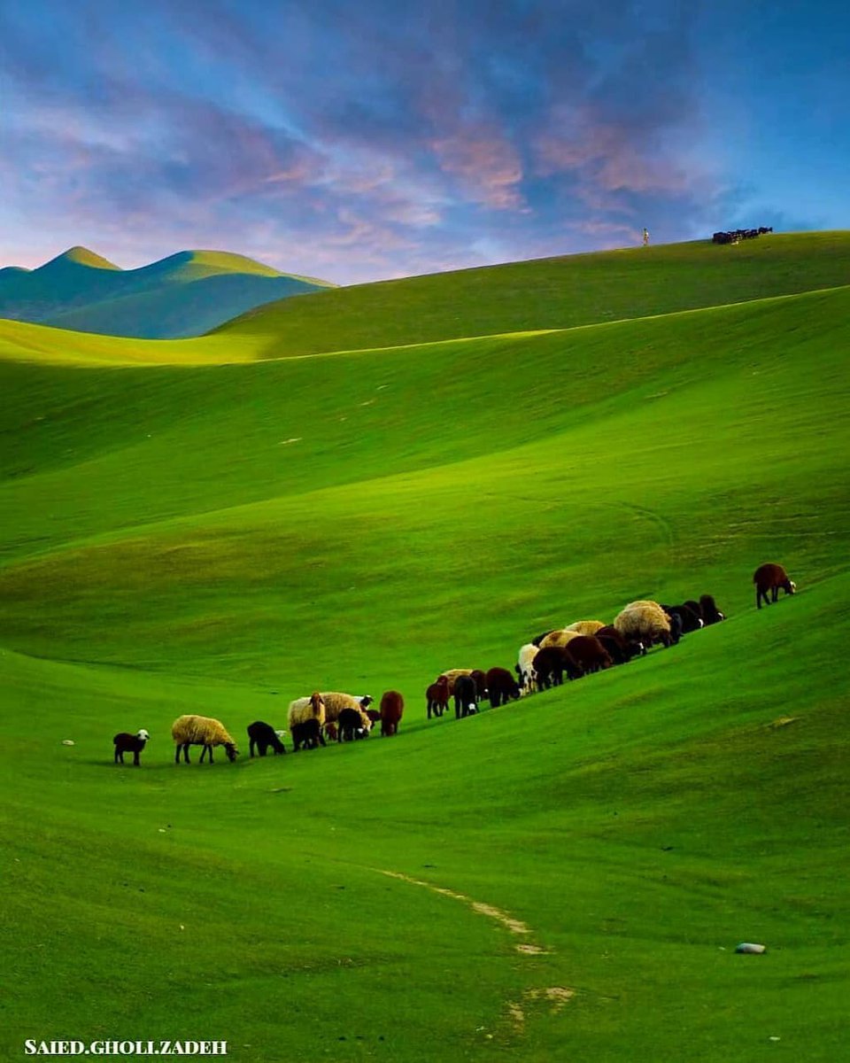 Iranland7's tweet image. طبیعت زیبای قزقان دره، خراسان رضوی
📸 : Saied gholizadeh