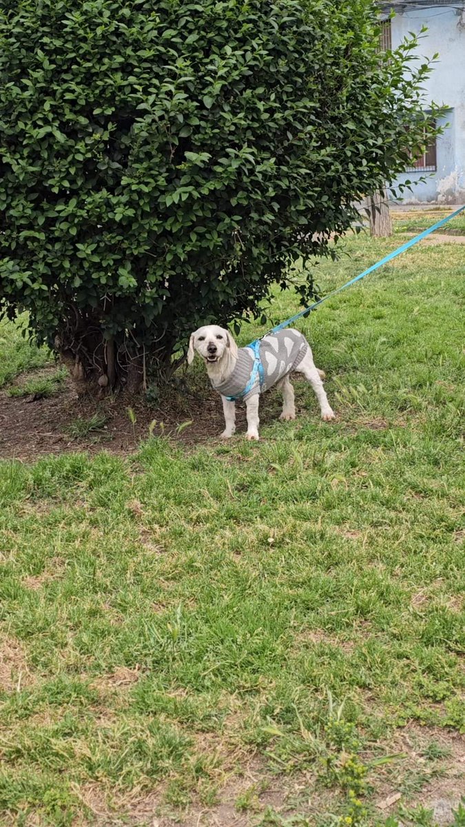 Solange Palacios 🐾💕 tweet media