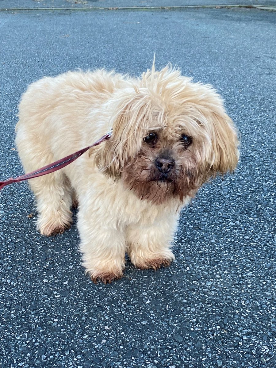 Catherine Harland tweet media