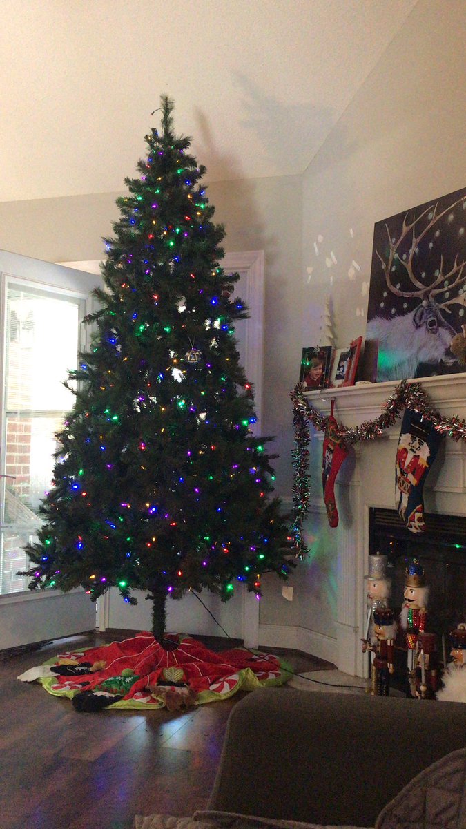 Allison Atkinson tweet media