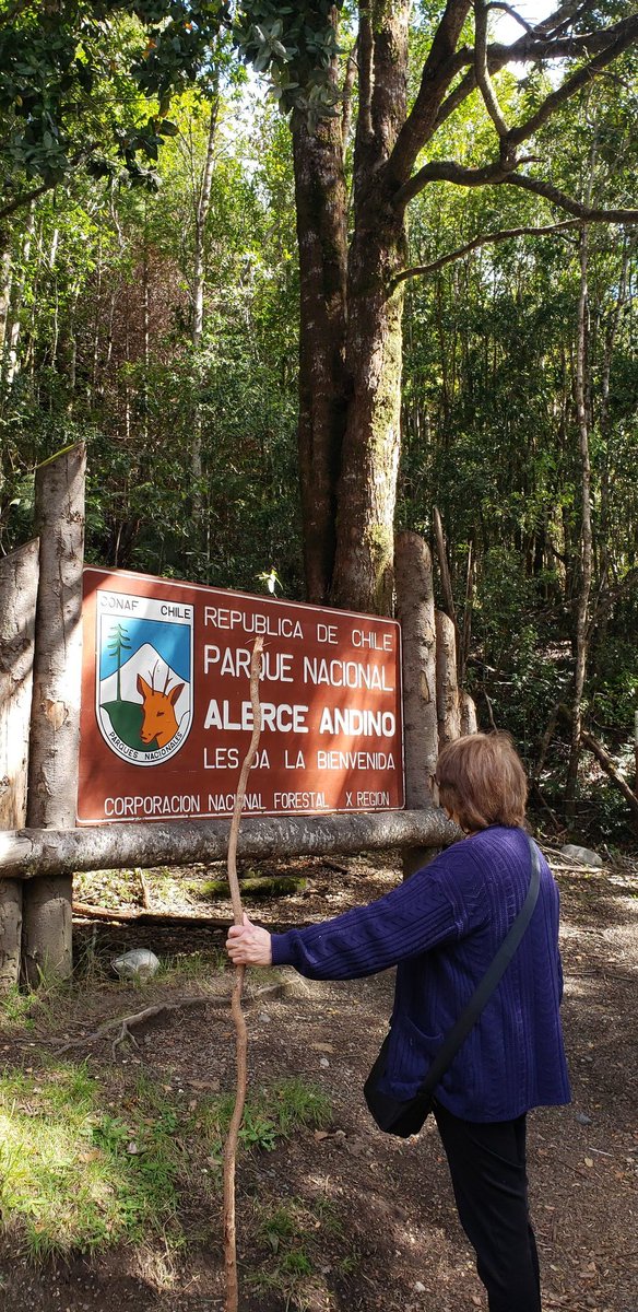 #oyemega Hola un saludos a ustedes desde Xregión. Un saludo también a mi Mamá que hoy volvió a Coquimbo desde de un mes de vacaciones por acá. Esta foto es del miércoles 1ero cuando anduvimos de paseo.