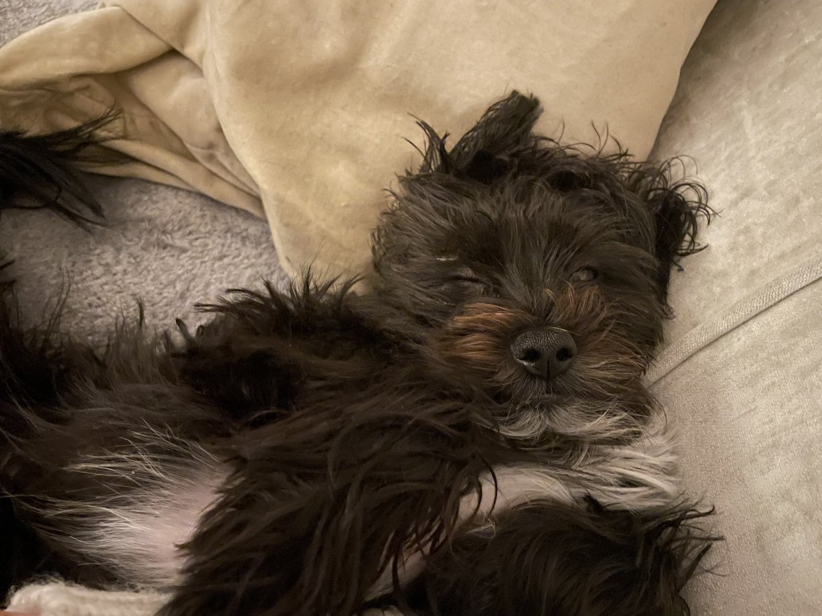 Fiona Duncan 📚 tweet media