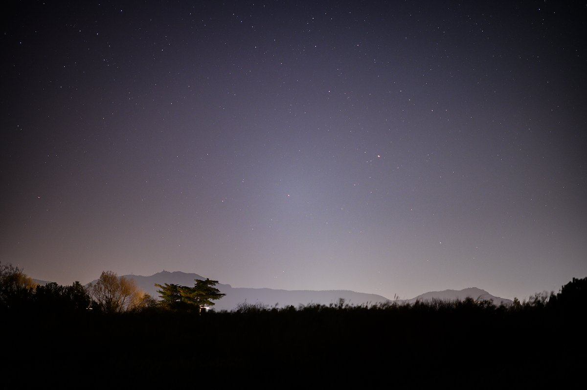 Christophe Suarez tweet media