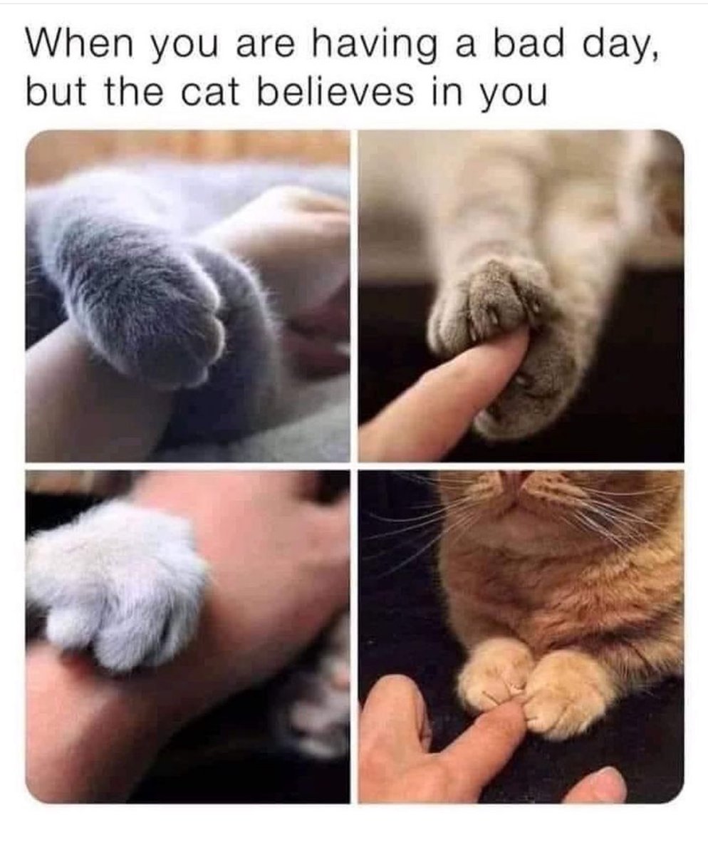 IT'S NOT FUNNY.It's my life! tweet media