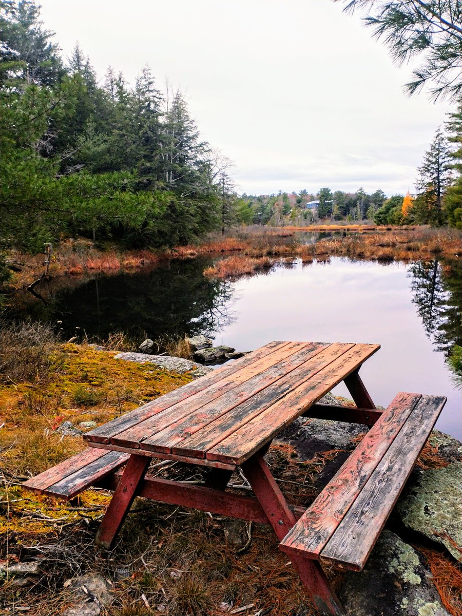 StirkTech's tweet image. Out in a place where I belong.

Might move into a cabin in the woods with how messed up the world seems to be these days lol.

It may be a great awakening experience!

#Hiking #Peaceful #Truth #Cabininthewoods #GoodTimes #NatureRocks #AllReal