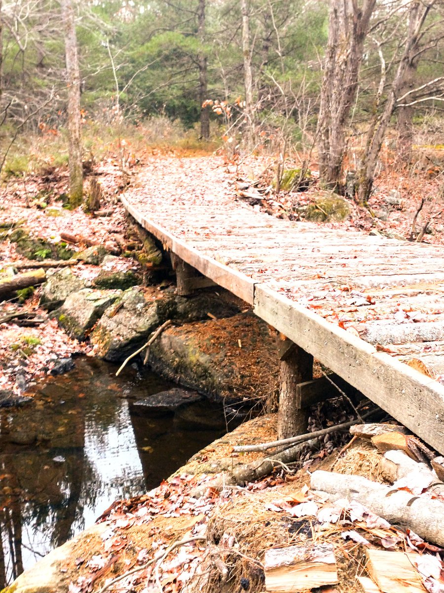 StirkTech's tweet image. Out in a place where I belong.

Might move into a cabin in the woods with how messed up the world seems to be these days lol.

It may be a great awakening experience!

#Hiking #Peaceful #Truth #Cabininthewoods #GoodTimes #NatureRocks #AllReal