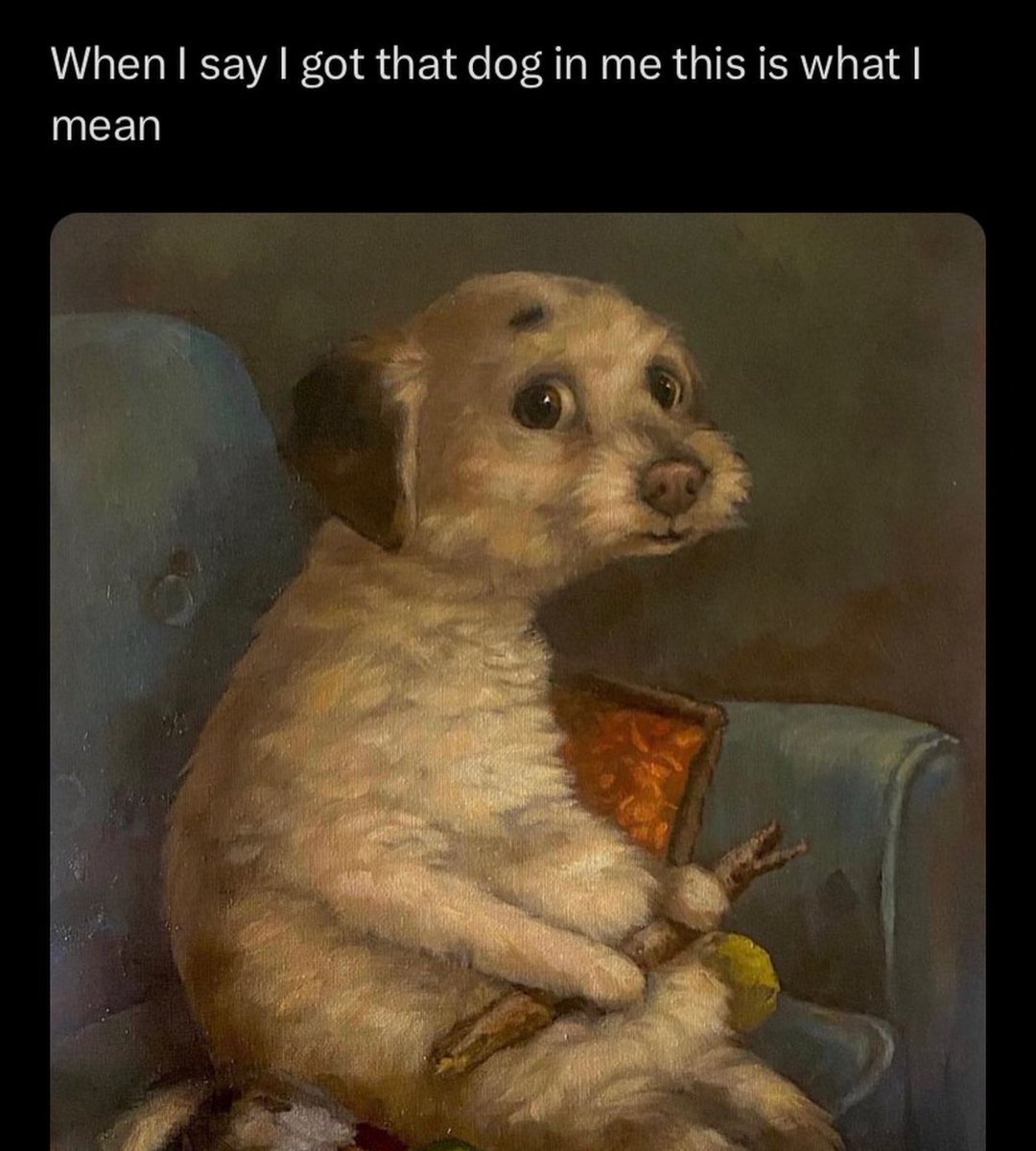 nocontextmemes's tweet photo. https://t.co/LxTplwuVay