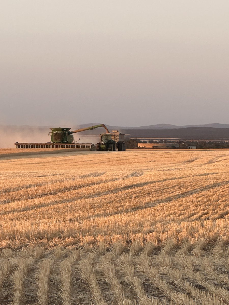 Some cracking nights  lately