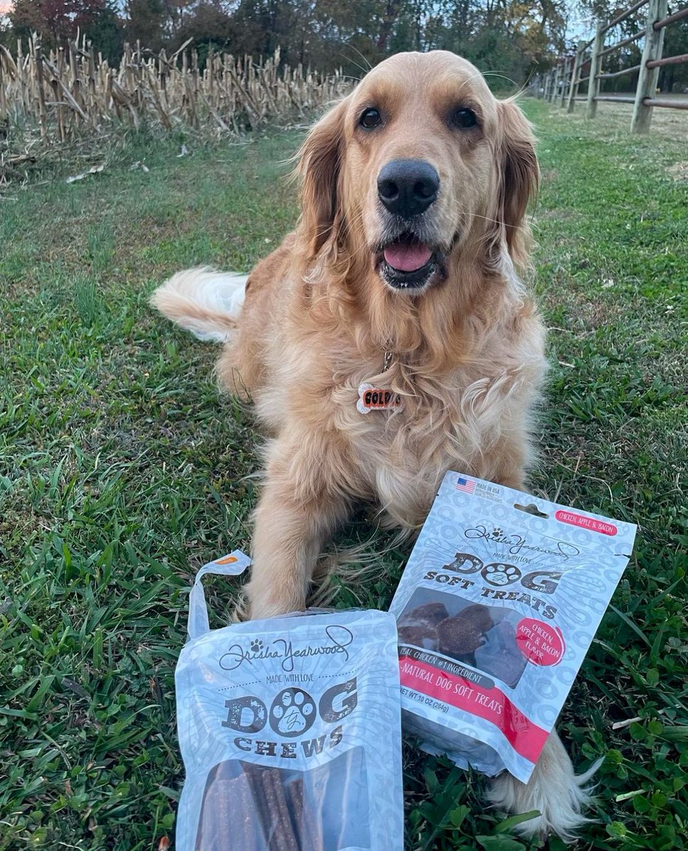 typetcollection's tweet image. Treat tasting: it’s a difficult job but someone’s got to do it! 🐕✨🍖 @farm_life_with_court