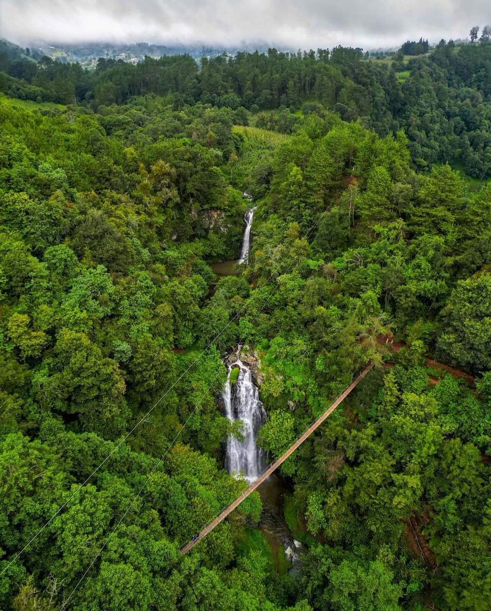 OscarP_H's tweet image. Hidalgo tiene Dos Mundos en #Acaxochitlán pueblo mágico. 

#VenAHidalgo
📷 @faaabbs_