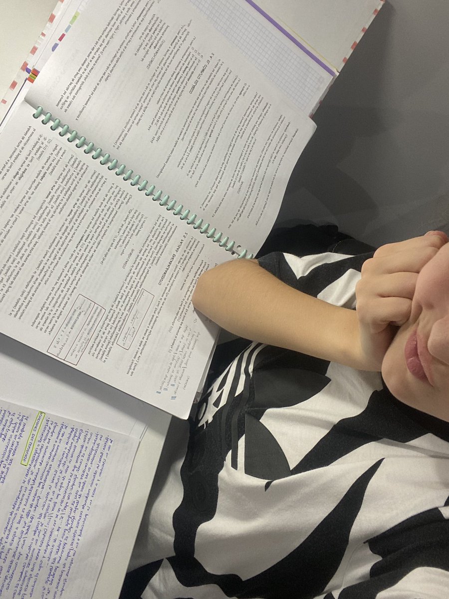 laraajuste's tweet photo. @userhaytam que buen finde estudiando lengua🥲🥲 https://t.co/UrB1wXjGUK