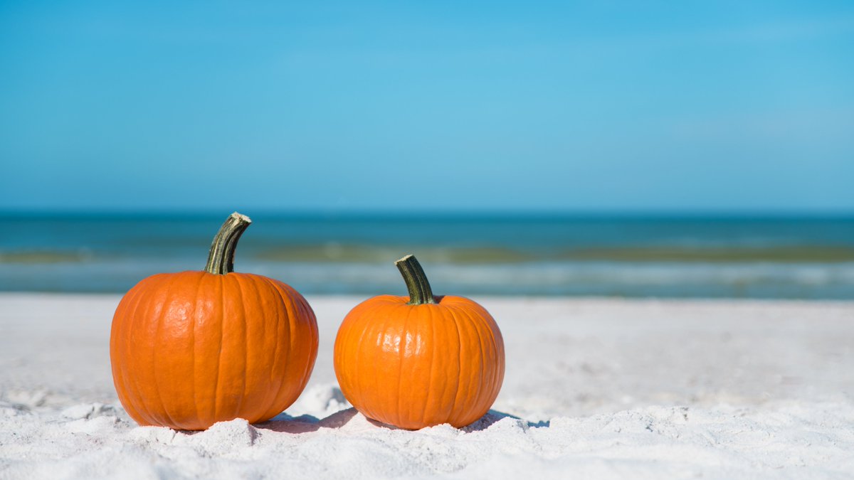 floridalimorent's tweet photo. Bel Harbour, Planning a Fall or Winter getaway ✈🚢 Don't forget to book your ride! Choose Florida Limousine Rental for safe a smooth stress-free ride to Miami Airport and Cruise Terminal.

Book Now ⬇⬇
https://t.co/KkTbS7BlMT

#floridalimousinerental #balharbourflorida https://t.co/HTtZATWFwI