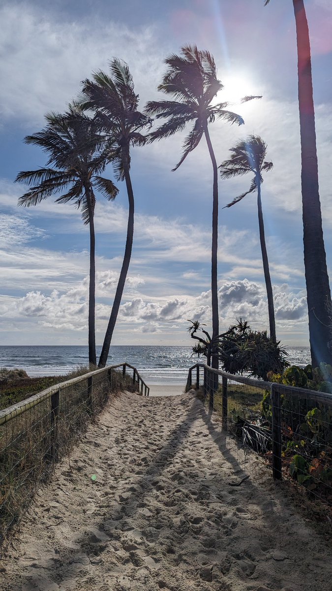 Yvonne Adele tweet media