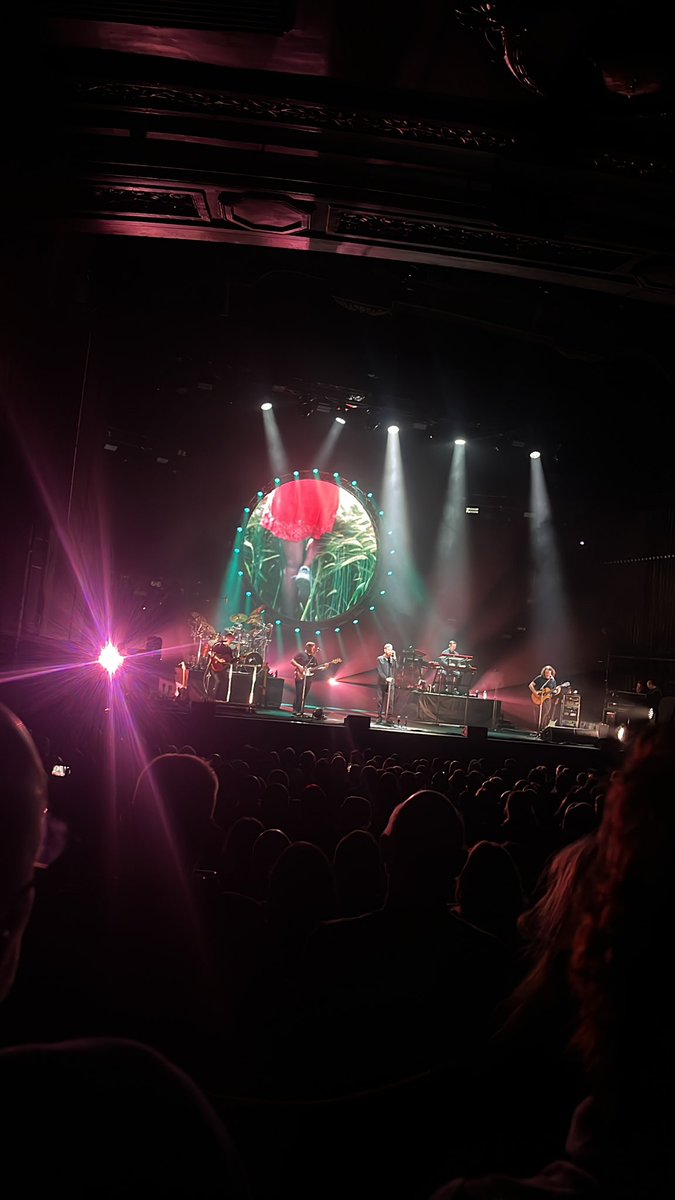 Aussie Pink Floyd👌