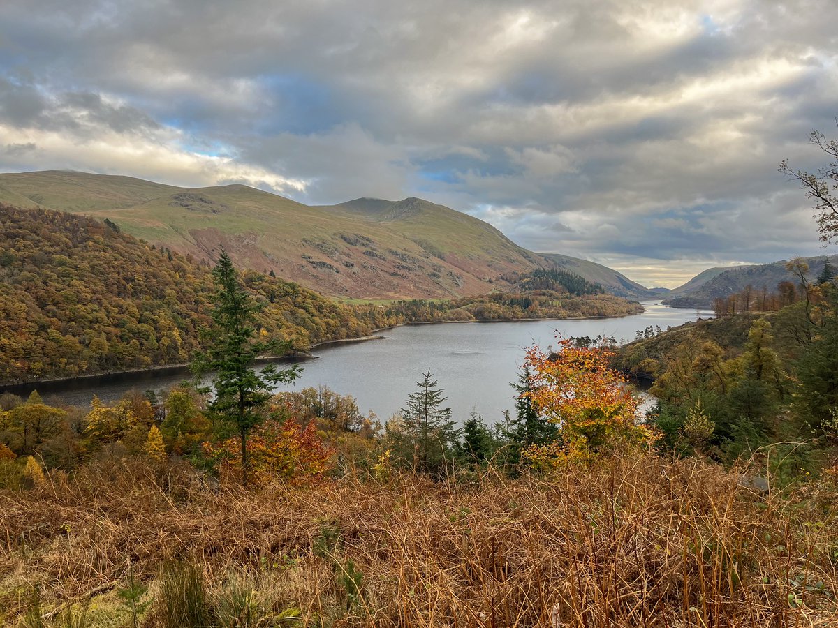 Chris Pennington tweet media