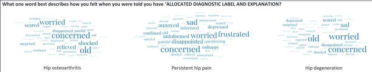 How do people feel when they are told they have "hip degeneration" vs "hip osteoarthritis" vs "persistent pain"?

Check out these word clouds from <a href="/haber_travis/">Travis Haber</a> <a href="/CHESM_unimelb/">CHESM</a> from his latest paper:

jospt.org/doi/10.2519/jo…