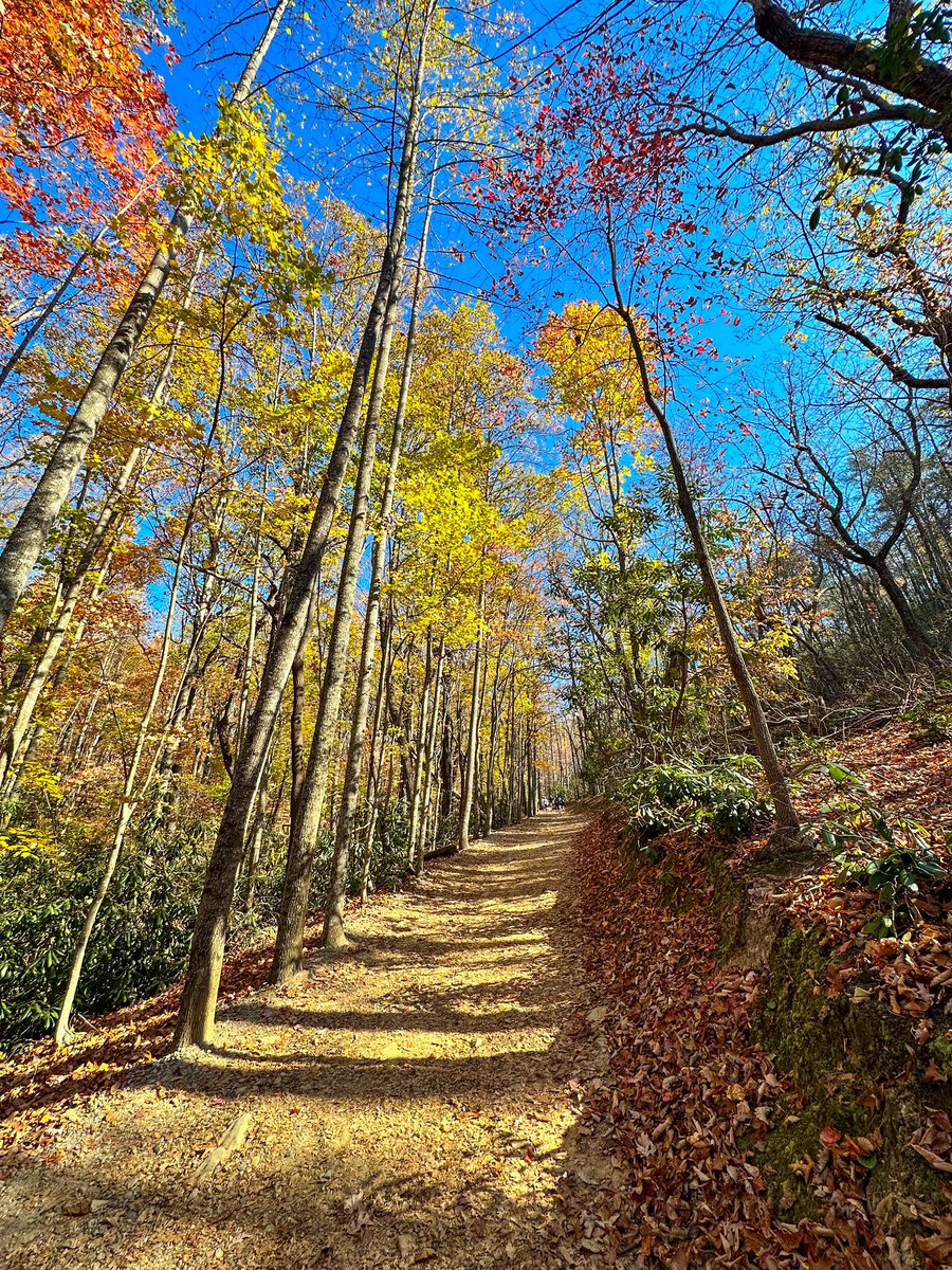 DrManisitDas's tweet image. Fall Hike at Hanging Rock 1/2 #fallhike #hiking #ncstateparks