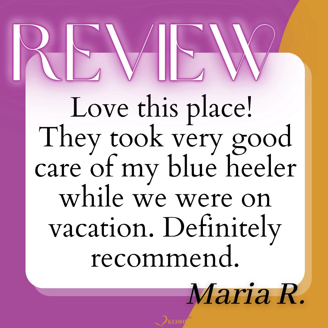 Thank you Maria for this great review!!!

#chelseaal #Alabama #invernessal #mountainbrookal #HighlandLakes #HelenaAL #ForestOaks #AlabasterAL #GardendaleAL #JemisonAL #ClantonAL #PuppyLove