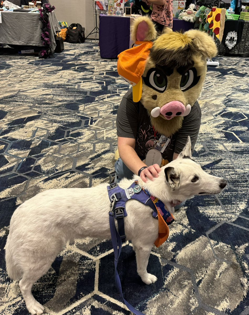 Aww, many thanks to our neighbor in the shopping district, <a href="/RamShackleGear/">Ram Shackle 🔜 Kinkfest</a>, for donating “pets okay” badges for Posey, who has been enjoying lots of love from her furry (and feathered) friends at <a href="/pacanthro/">PAWCon 2025</a> this weekend! 🦮🔖 <a href="/Sparks_fur/">Sparks🔜FC</a> <a href="/DagSpambone/">Dag @ Spam-home</a>