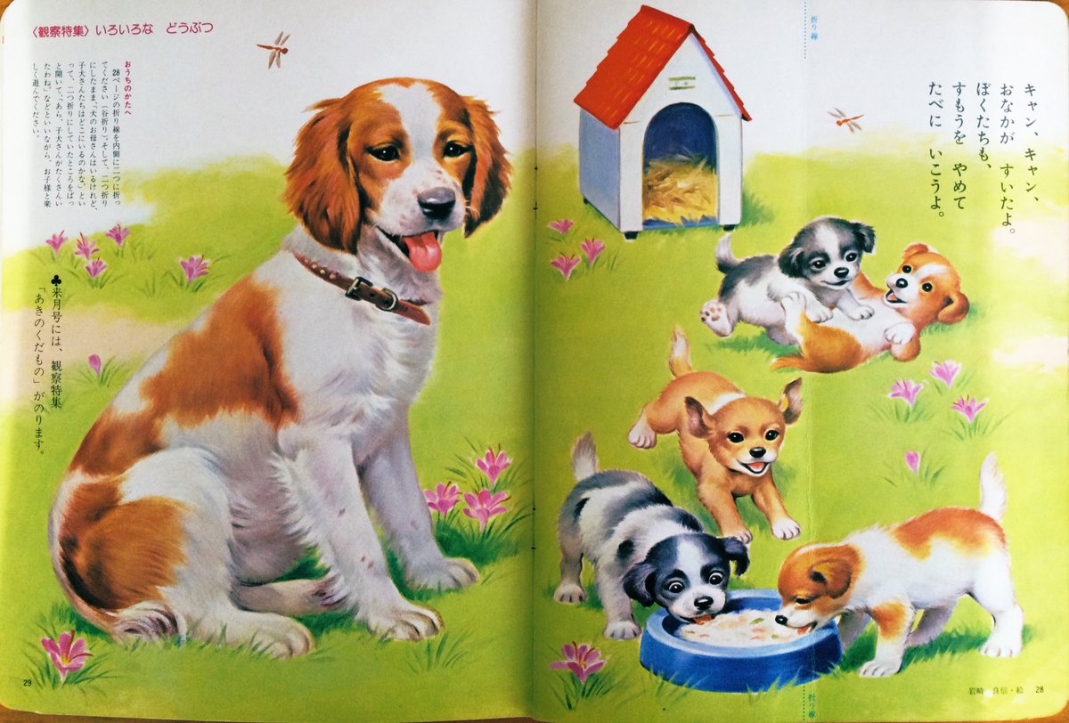 マロ姫様❤ダックス プードル 印鑑スタンド♡キッチンタイマー 雑貨奥様 on X